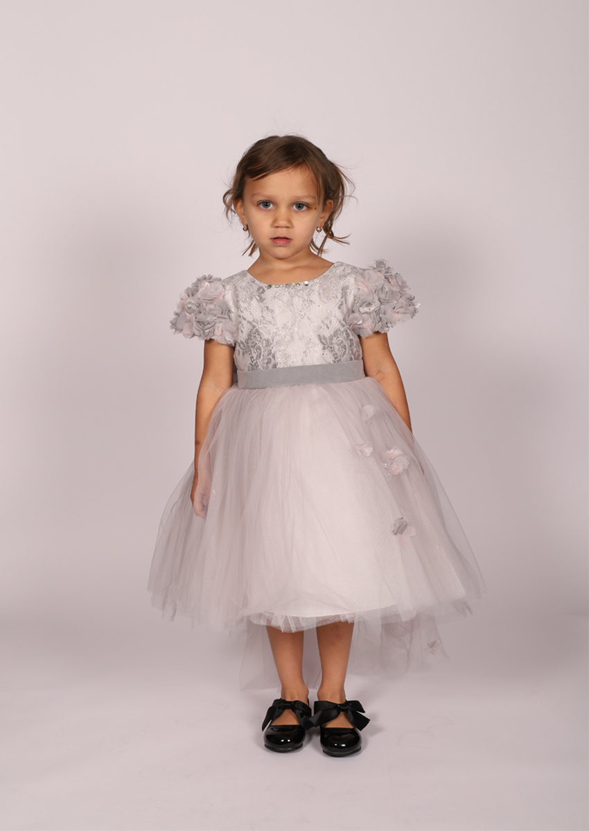 Robe de soirée dentelle Monita - gris